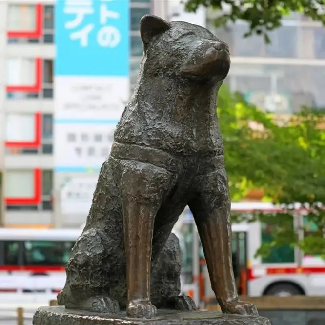 Hachiko Image